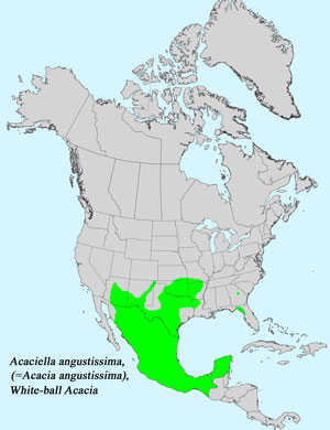 North America species range map for Common name, Acaciella angustissima: Click image for full size map.